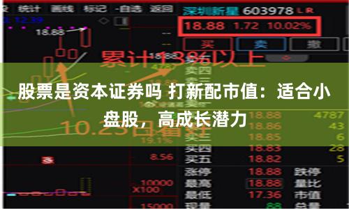 股票是资本证券吗 打新配市值：适合小盘股，高成长潜力