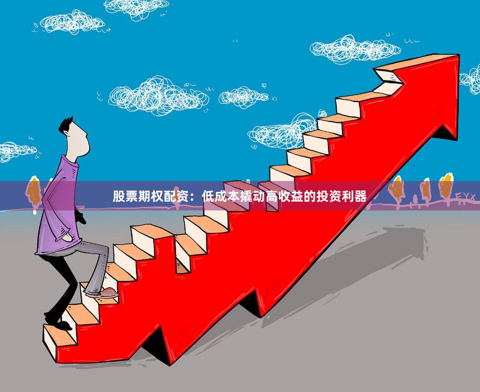 股票期权配资：低成本撬动高收益的投资利器