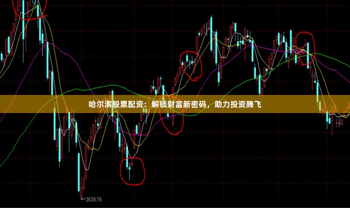 哈尔滨股票配资：解锁财富新密码，助力投资腾飞