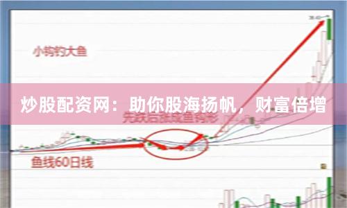 炒股配资网：助你股海扬帆，财富倍增