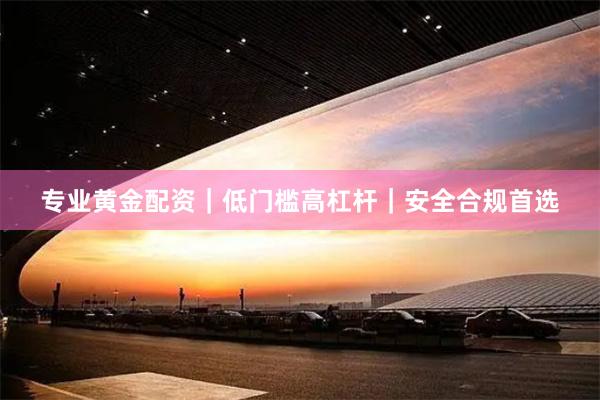 专业黄金配资|低门槛高杠杆|安全合规首选